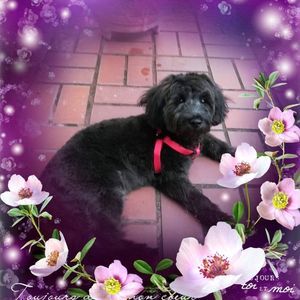 Meet your Posher, Catherine